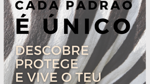 equidade